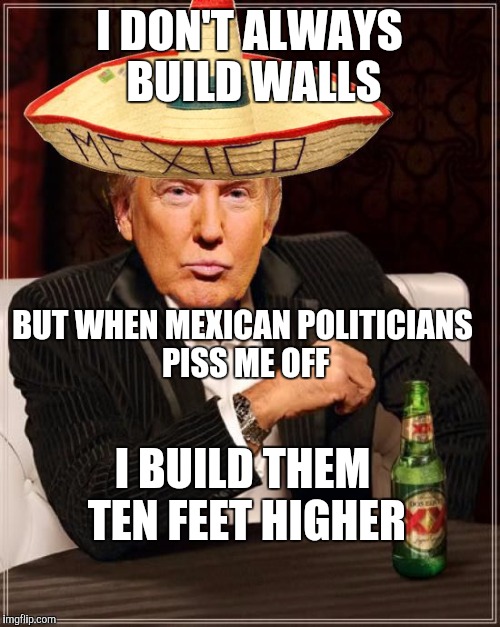 10 feet higher | I DON'T ALWAYS BUILD WALLS; BUT WHEN MEXICAN POLITICIANS PISS ME OFF; I BUILD THEM TEN FEET HIGHER | image tagged in trump interesting sombrero,border,wall,donald trump | made w/ Imgflip meme maker