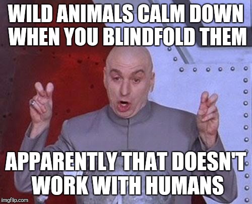 Wife had a rough day. Didn't appreciate his efforts to help | WILD ANIMALS CALM DOWN WHEN YOU BLINDFOLD THEM; APPARENTLY THAT DOESN'T WORK WITH HUMANS | image tagged in memes,dr evil laser | made w/ Imgflip meme maker