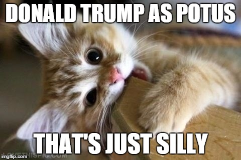 Donald Trump as the President | DONALD TRUMP AS POTUS; THAT'S JUST SILLY | image tagged in that's just silly cat,donald trump,president | made w/ Imgflip meme maker