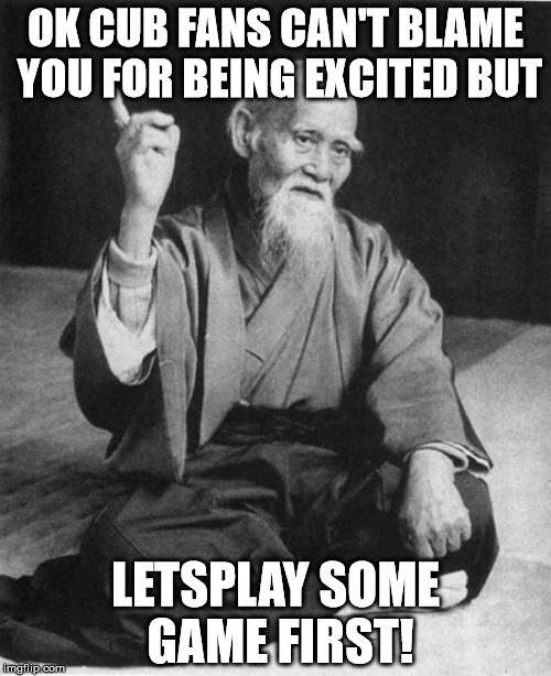 Wise Master | OK CUB FANS CAN'T BLAME YOU FOR BEING EXCITED BUT; LETSPLAY SOME GAME FIRST! | image tagged in wise master | made w/ Imgflip meme maker