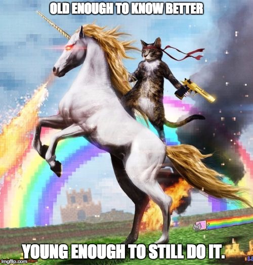 Welcome To The Internets | OLD ENOUGH TO KNOW BETTER; YOUNG ENOUGH TO STILL DO IT. | image tagged in memes,welcome to the internets | made w/ Imgflip meme maker