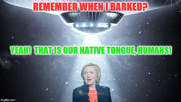 The Truth is Right Here | REMEMBER WHEN I BARKED? YEAH!  THAT IS OUR NATIVE TONGUE, HUMANS! | image tagged in x-files hillary clinton,hillary clinton | made w/ Imgflip meme maker