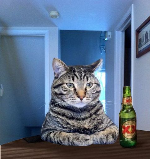Most Interesting Cat In The World Blank Meme Template
