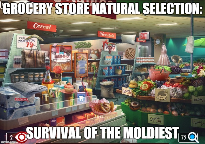 Grocery store | GROCERY STORE NATURAL SELECTION:; SURVIVAL OF THE MOLDIEST | image tagged in grocery store | made w/ Imgflip meme maker