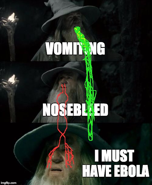 Confused Gandalf | VOMITING; NOSEBLEED; I MUST HAVE EBOLA | image tagged in memes,confused gandalf | made w/ Imgflip meme maker