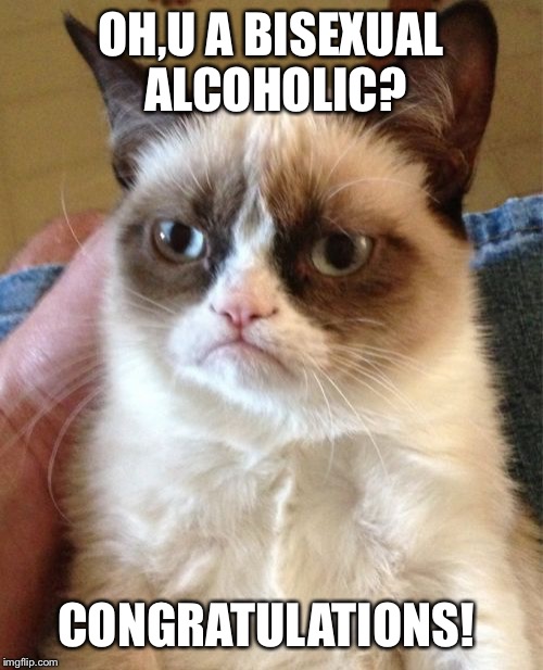 Grumpy Cat Meme | OH,U A BISEXUAL ALCOHOLIC? CONGRATULATIONS! | image tagged in memes,grumpy cat | made w/ Imgflip meme maker