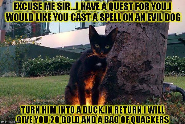 cat quest magic spells