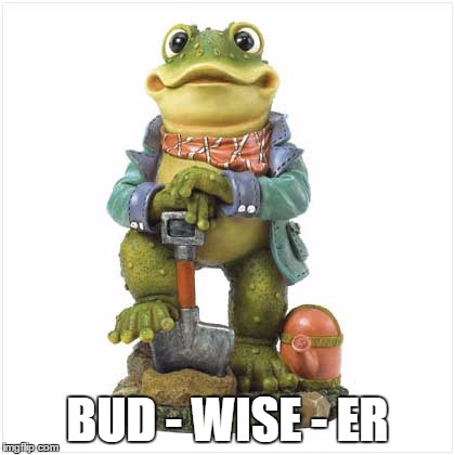 BUD - WISE - ER | image tagged in shovel ready frog | made w/ Imgflip meme maker