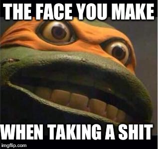 teen age mutant ninja turtle | THE FACE YOU MAKE; WHEN TAKING A SHIT | image tagged in teen age mutant ninja turtle | made w/ Imgflip meme maker
