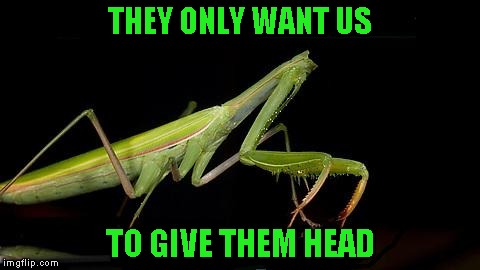 THEY ONLY WANT US TO GIVE THEM HEAD | made w/ Imgflip meme maker