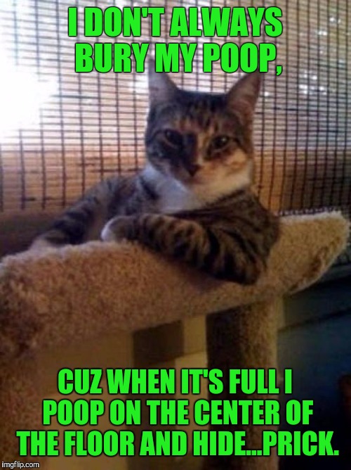The Most Interesting Cat In The World | I DON'T ALWAYS BURY MY POOP, CUZ WHEN IT'S FULL I POOP ON THE CENTER OF THE FLOOR AND HIDE...PRICK. | image tagged in memes,the most interesting cat in the world | made w/ Imgflip meme maker