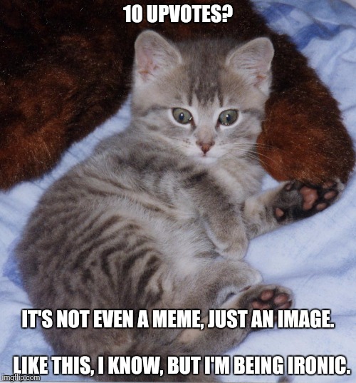Cute_Thomas_Kitten | 10 UPVOTES? IT'S NOT EVEN A MEME, JUST AN IMAGE.                                 LIKE THIS, I KNOW, BUT I'M BEING IRONIC. | image tagged in cute_thomas_kitten | made w/ Imgflip meme maker