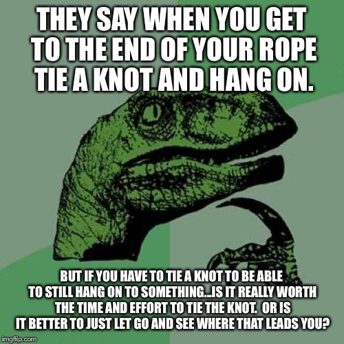 Philosoraptor | THEY SAY WHEN YOU GET TO THE END OF YOUR ROPE TIE A KNOT AND HANG ON. BUT IF YOU HAVE TO TIE A KNOT TO BE ABLE TO STILL HANG ON TO SOMETHING...IS IT REALLY WORTH THE TIME AND EFFORT TO TIE THE KNOT.  OR IS IT BETTER TO JUST LET GO AND SEE WHERE THAT LEADS YOU? | image tagged in memes,philosoraptor | made w/ Imgflip meme maker