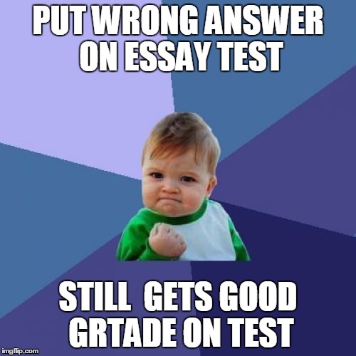 this actullay happened in my high school civics class. our test are ONLY essay test. | PUT WRONG ANSWER ON ESSAY TEST; STILL  GETS GOOD GRTADE ON TEST | image tagged in memes,success kid | made w/ Imgflip meme maker