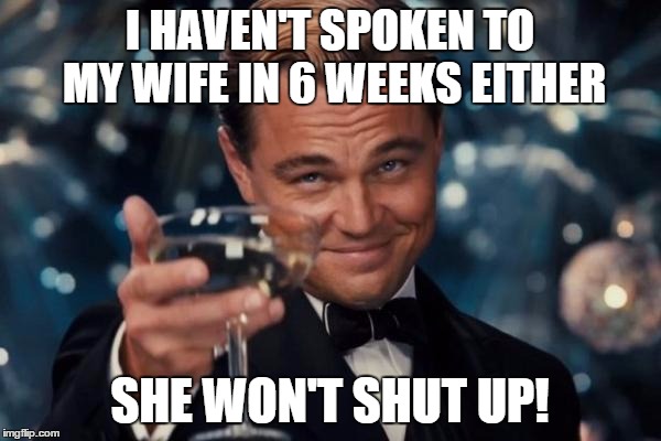 Leonardo Dicaprio Cheers Meme | I HAVEN'T SPOKEN TO MY WIFE IN 6 WEEKS EITHER SHE WON'T SHUT UP! | image tagged in memes,leonardo dicaprio cheers | made w/ Imgflip meme maker