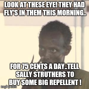 Look At Me | LOOK AT THESE EYE! THEY HAD FLY'S IN THEM THIS MORNING.. FOR 75 CENTS A DAY..TELL SALLY STRUTHERS TO BUY SOME BIG REPELLENT ! | image tagged in memes,look at me | made w/ Imgflip meme maker