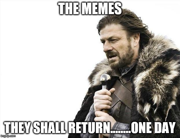 Brace Yourselves X is Coming Meme | THE MEMES; THEY SHALL RETURN........ONE DAY | image tagged in memes,brace yourselves x is coming | made w/ Imgflip meme maker