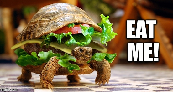 Angry Turtle Burger | EAT ME! | image tagged in turtle burger,memes | made w/ Imgflip meme maker