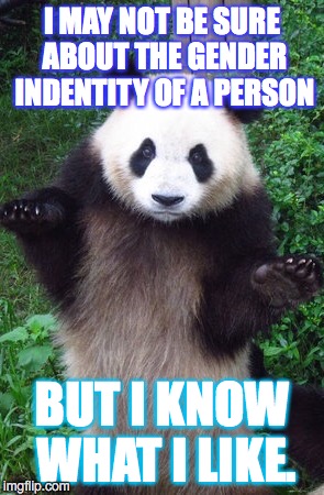 Confused panda | I MAY NOT BE SURE ABOUT THE GENDER INDENTITY OF A PERSON; BUT I KNOW WHAT I LIKE. | image tagged in confused panda | made w/ Imgflip meme maker