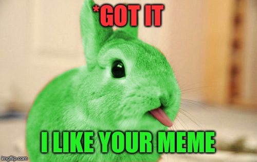 RayBunny | *GOT IT I LIKE YOUR MEME | image tagged in raybunny | made w/ Imgflip meme maker