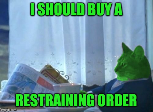 I Should Buy a Boat RayCat | I SHOULD BUY A RESTRAINING ORDER | image tagged in i should buy a boat raycat | made w/ Imgflip meme maker