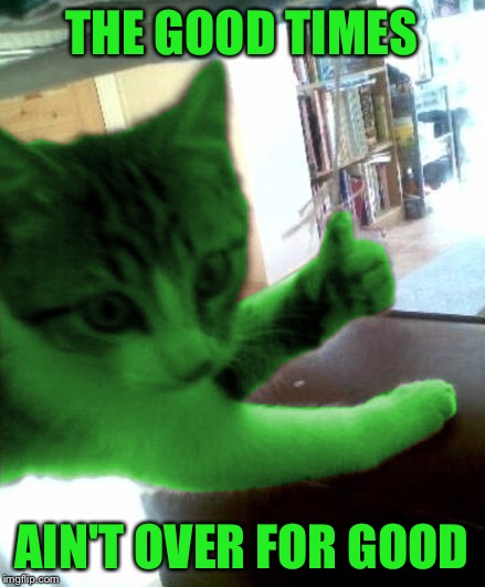 thumbs up RayCat | THE GOOD TIMES AIN'T OVER FOR GOOD | image tagged in thumbs up raycat | made w/ Imgflip meme maker