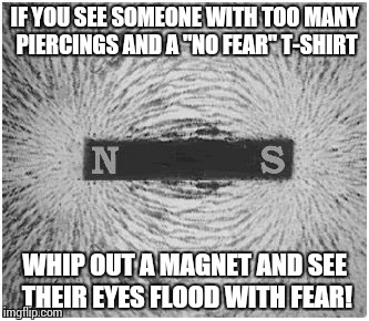 Magnet | IF YOU SEE SOMEONE WITH TOO MANY PIERCINGS AND A "NO FEAR" T-SHIRT; WHIP OUT A MAGNET AND SEE THEIR EYES FLOOD WITH FEAR! | image tagged in magnet | made w/ Imgflip meme maker