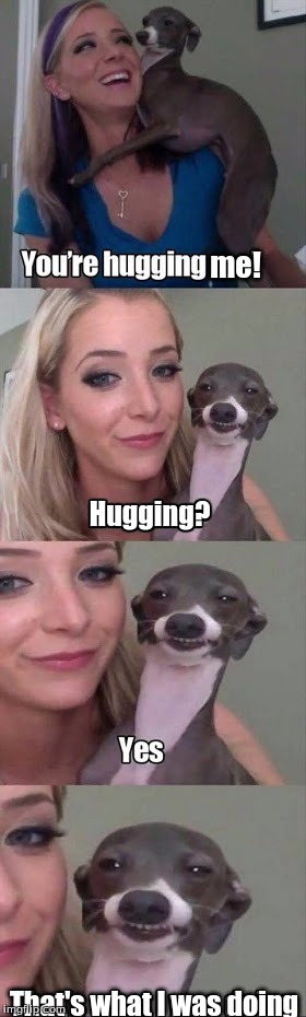 I'm not sure that was hugging | me! Hugging? That's what I was doing | image tagged in memes,dogs,hugging | made w/ Imgflip meme maker