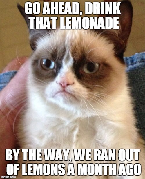 Grumpy Cat Meme | GO AHEAD, DRINK THAT LEMONADE; BY THE WAY, WE RAN OUT OF LEMONS A MONTH AGO | image tagged in memes,grumpy cat | made w/ Imgflip meme maker