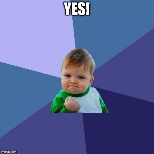 Success Kid Meme | YES! | image tagged in memes,success kid | made w/ Imgflip meme maker