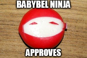 BABYBEL NINJA APPROVES | made w/ Imgflip meme maker