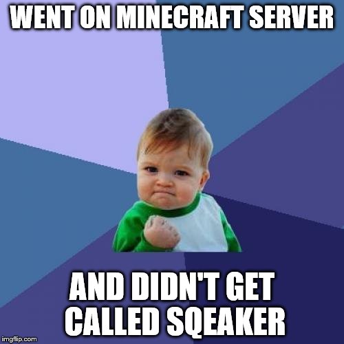 Success Kid | WENT ON MINECRAFT SERVER; AND DIDN'T GET CALLED SQEAKER | image tagged in memes,success kid | made w/ Imgflip meme maker