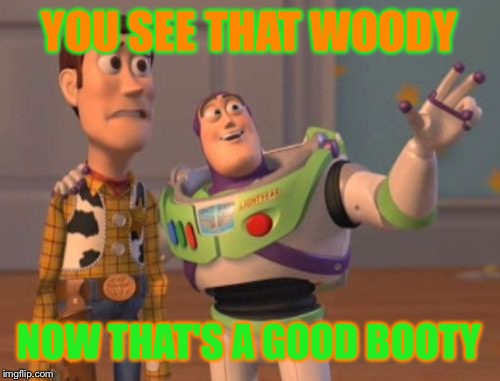 X, X Everywhere Meme | YOU SEE THAT WOODY; NOW THAT'S A GOOD BOOTY | image tagged in memes,x x everywhere | made w/ Imgflip meme maker