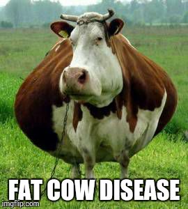 FAT COW DISEASE | image tagged in yo mamas so fat | made w/ Imgflip meme maker