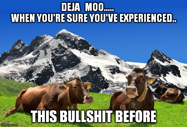 deja vu | DEJA   MOO.....                WHEN YOU'RE SURE YOU'VE EXPERIENCED.. THIS BULLSHIT BEFORE | image tagged in cows | made w/ Imgflip meme maker