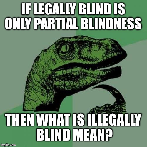 Philosoraptor Meme | IF LEGALLY BLIND IS ONLY PARTIAL BLINDNESS; THEN WHAT IS ILLEGALLY BLIND MEAN? | image tagged in memes,philosoraptor | made w/ Imgflip meme maker