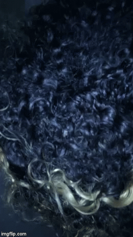 Manic hair | image tagged in gifs,love | made w/ Imgflip video-to-gif maker