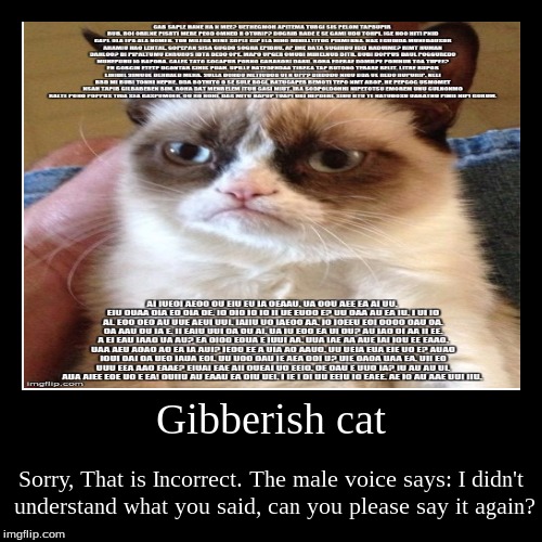 Gibberish cat | image tagged in funny,demotivationals | made w/ Imgflip demotivational maker