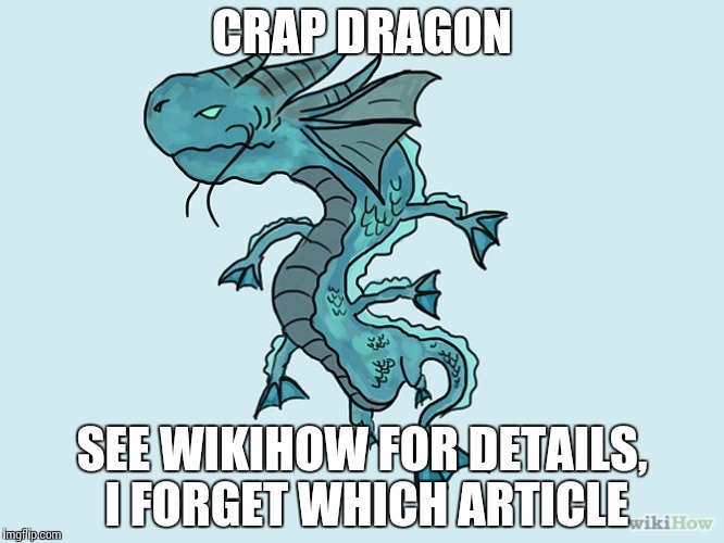 CRAP DRAGON SEE WIKIHOW FOR DETAILS, I FORGET WHICH ARTICLE | made w/ Imgflip meme maker