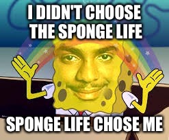 I DIDN'T CHOOSE THE SPONGE LIFE SPONGE LIFE CHOSE ME | image tagged in sponge life | made w/ Imgflip meme maker