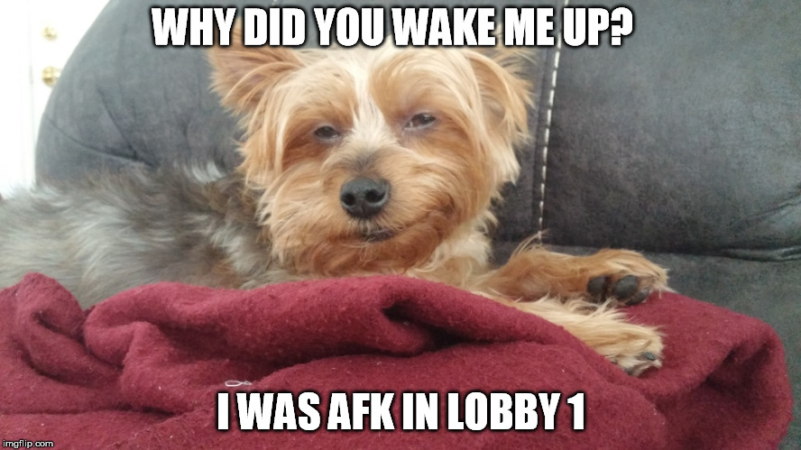 WHY DID YOU WAKE ME UP? I WAS AFK IN LOBBY 1 | made w/ Imgflip meme maker