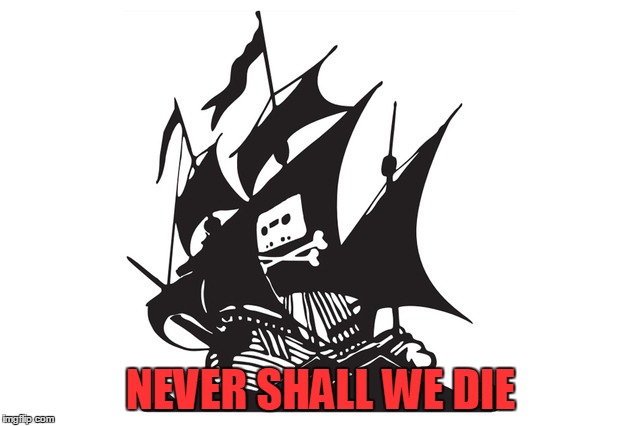 long live the pirate bay | NEVER SHALL WE DIE | image tagged in pirate | made w/ Imgflip meme maker