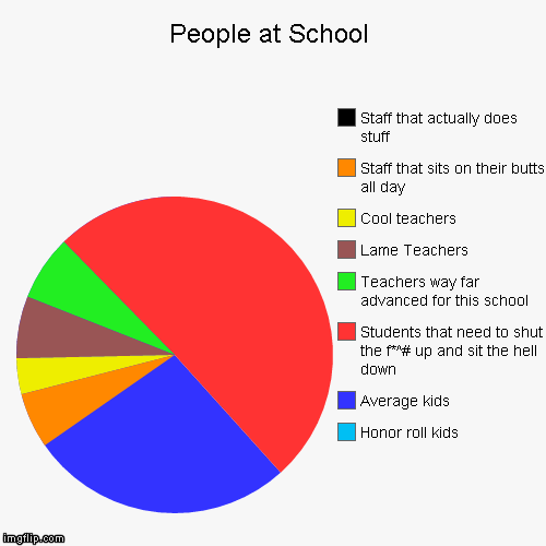 School | image tagged in funny,pie charts | made w/ Imgflip chart maker
