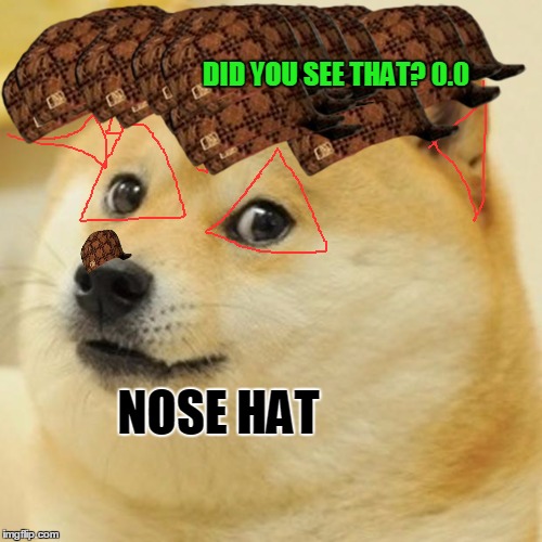 Doge Meme | DID YOU SEE THAT? 0.0; NOSE HAT | image tagged in memes,doge,scumbag | made w/ Imgflip meme maker