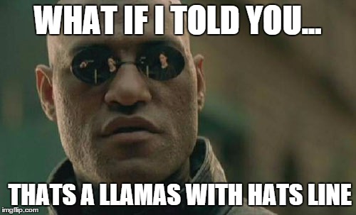 Matrix Morpheus Meme | WHAT IF I TOLD YOU... THATS A LLAMAS WITH HATS LINE | image tagged in memes,matrix morpheus | made w/ Imgflip meme maker