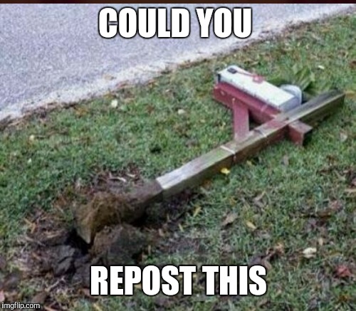 COULD YOU REPOST THIS | made w/ Imgflip meme maker