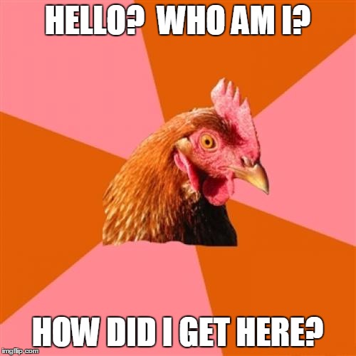 HELLO?  WHO AM I? HOW DID I GET HERE? | made w/ Imgflip meme maker