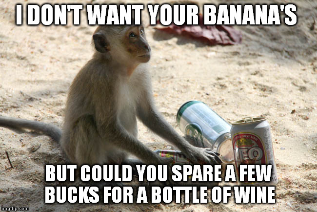 I DON'T WANT YOUR BANANA'S BUT COULD YOU SPARE A FEW BUCKS FOR A BOTTLE OF WINE | made w/ Imgflip meme maker