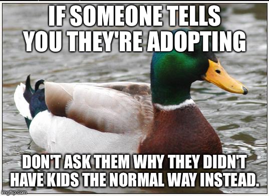 Actual Advice Mallard | IF SOMEONE TELLS YOU THEY'RE ADOPTING; DON'T ASK THEM WHY THEY DIDN'T HAVE KIDS THE NORMAL WAY INSTEAD. | image tagged in memes,actual advice mallard,AdviceAnimals | made w/ Imgflip meme maker