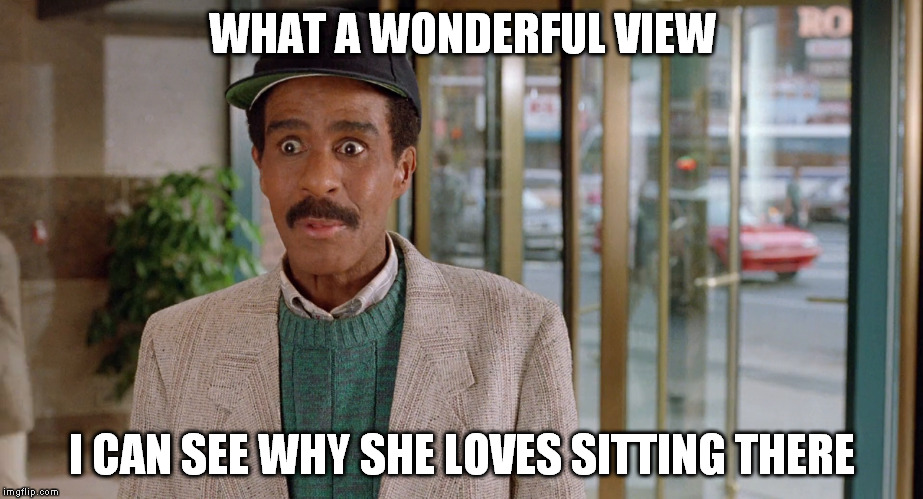 WHAT A WONDERFUL VIEW I CAN SEE WHY SHE LOVES SITTING THERE | made w/ Imgflip meme maker